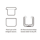 プラントポット ハチ